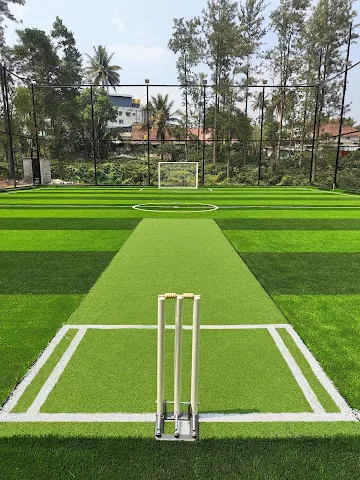 Turf photo 5