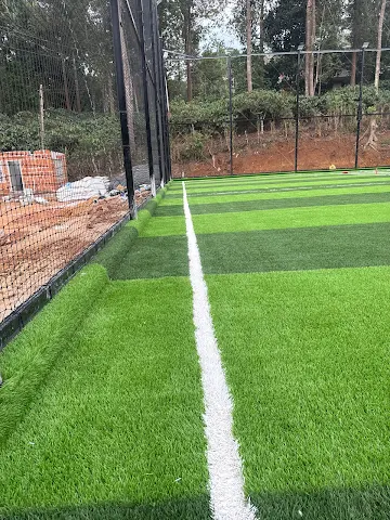 Turf photo 4