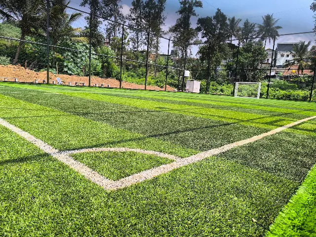 Turf photo 3