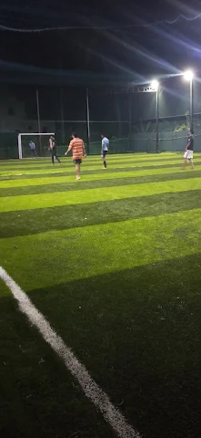 Turf photo 7