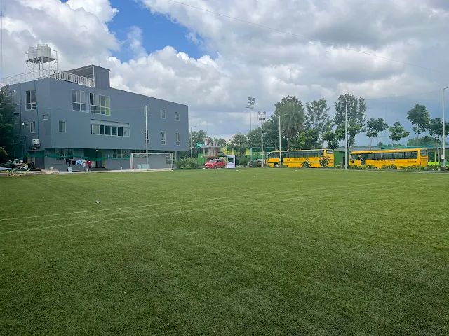 Turf photo 4