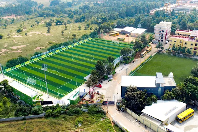 Turf main photo