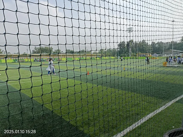 Turf photo 3