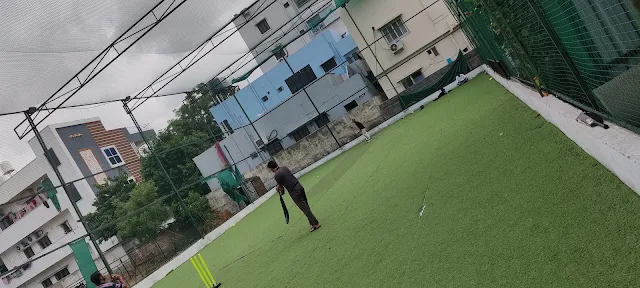 Turf photo 2