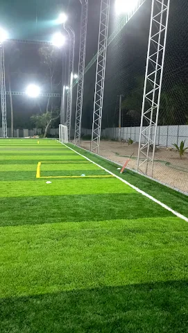 Turf photo 2