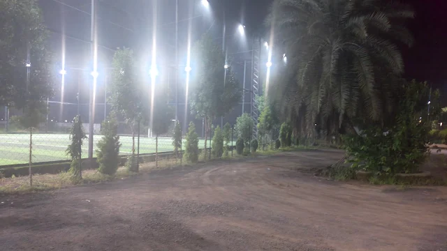 Turf photo 7
