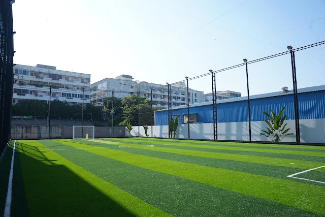Turf photo 7