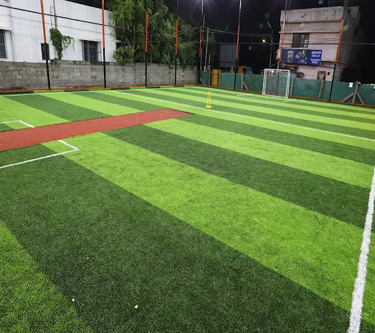 Turf photo 4