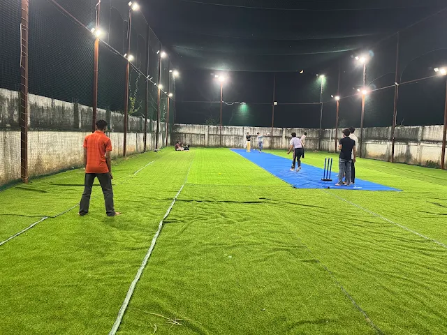 Turf photo 2