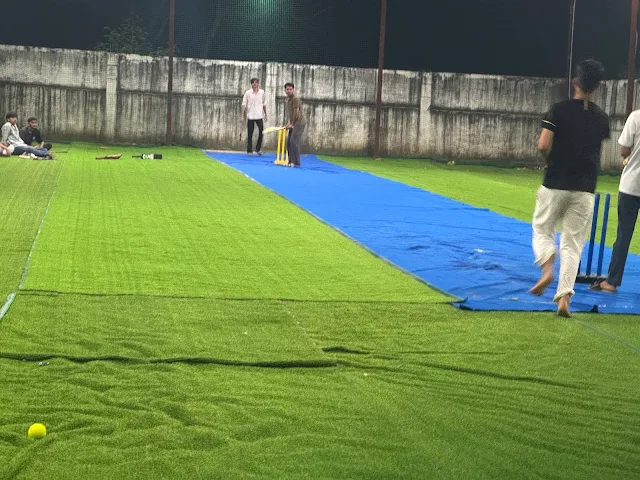 Turf photo 6