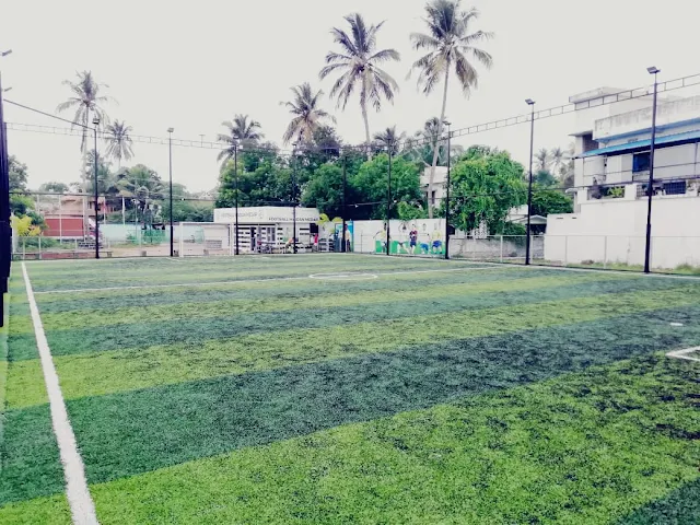 Turf photo 3