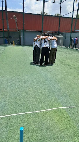 Turf main photo