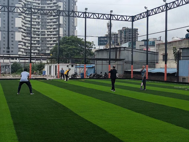 Turf photo 4