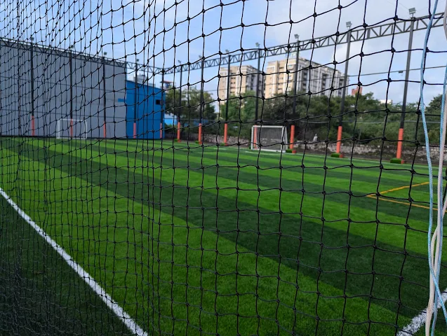 Turf photo 6