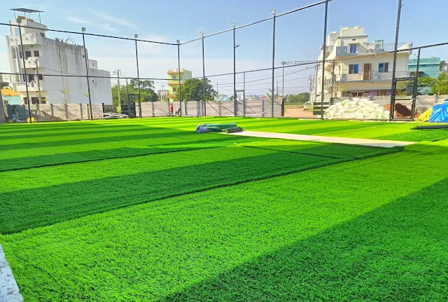 Turf photo 2