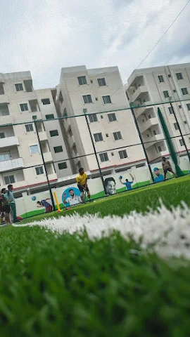 Turf photo 5