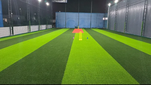 Turf photo 2