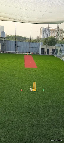 Turf photo 9