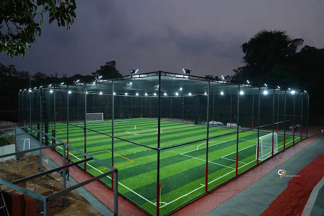 Turf photo 2