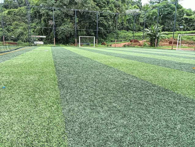 Turf photo 5