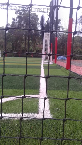 Turf photo 6