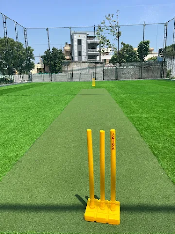 Turf photo 3