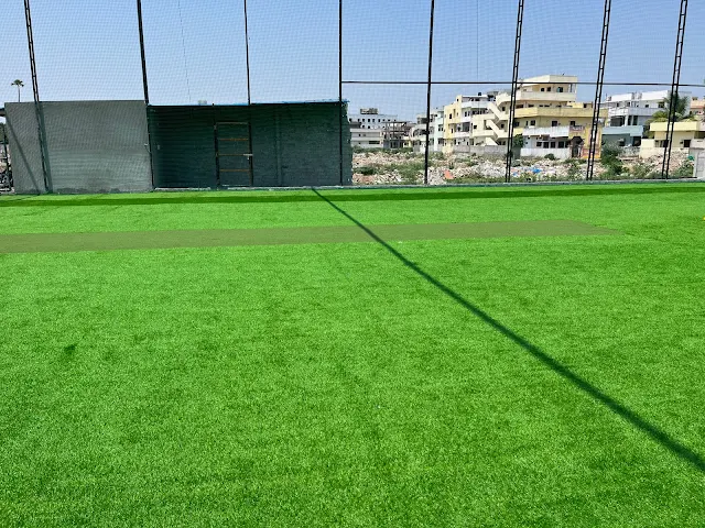 Turf photo 4