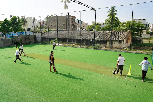 Turf photo 2