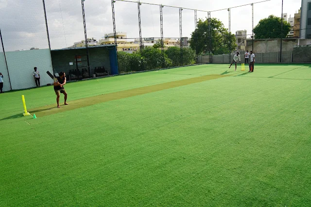Turf photo 5
