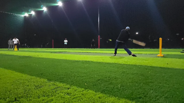 Turf photo 2