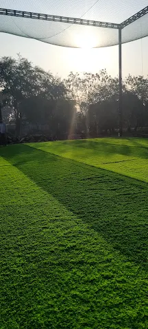 Turf photo 8
