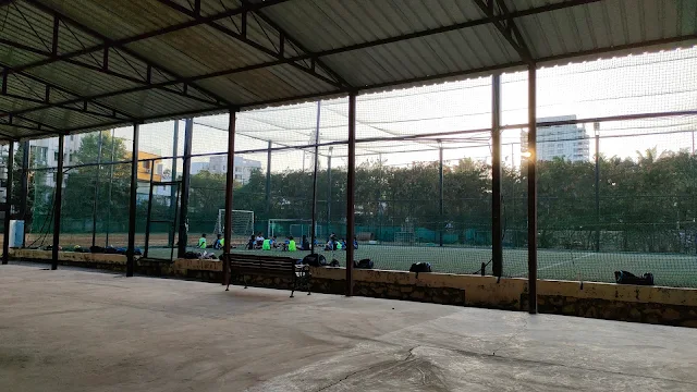Turf photo 4