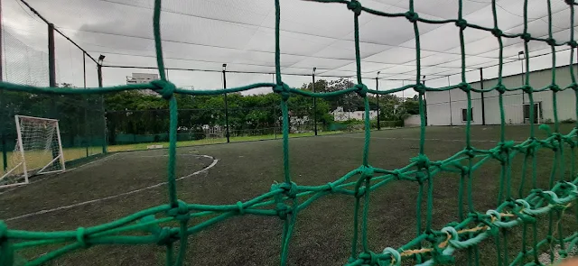 Turf photo 8