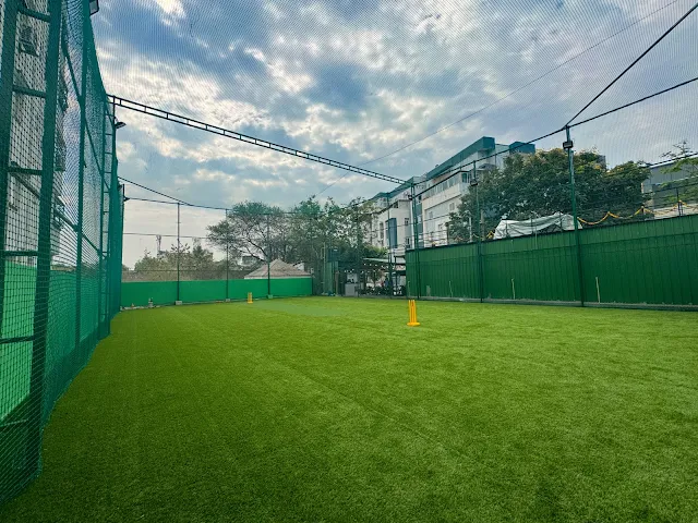 Turf main photo