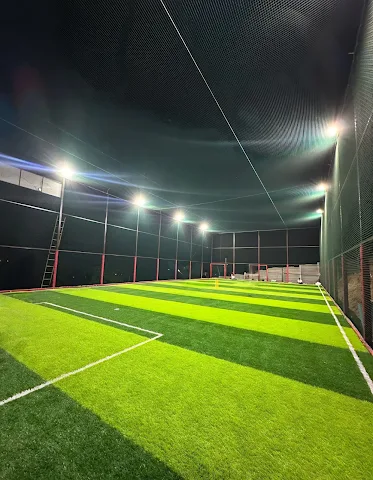 Turf photo 2