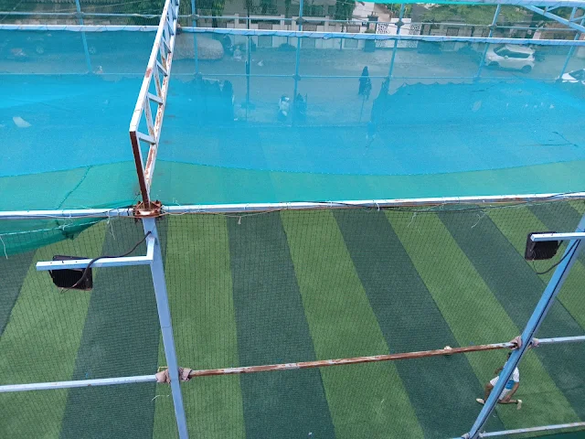 Turf photo 2