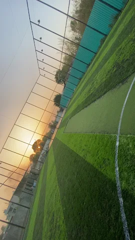 Turf photo 5