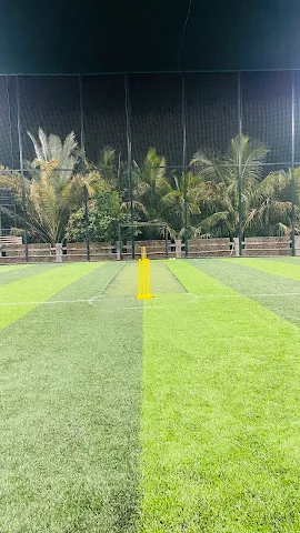 Turf photo 3