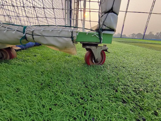 Turf photo 6