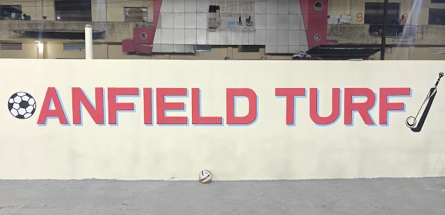 Turf photo 3