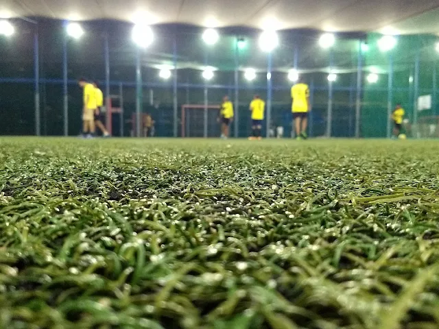 Turf photo 5
