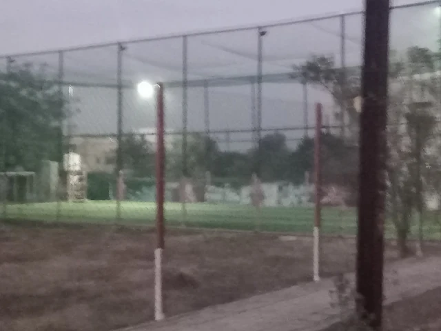 Turf photo 4