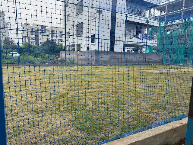 Turf main photo
