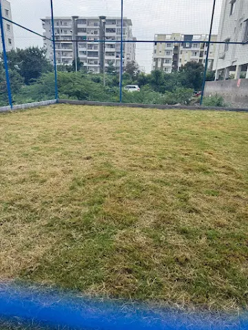 Turf photo 2