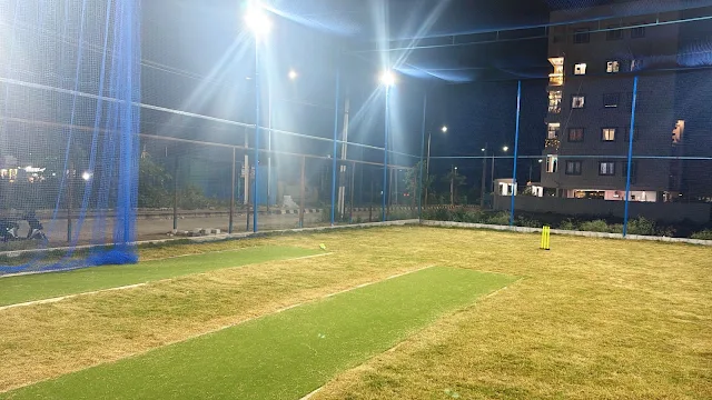 Turf photo 4