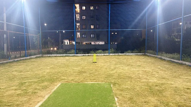 Turf photo 3