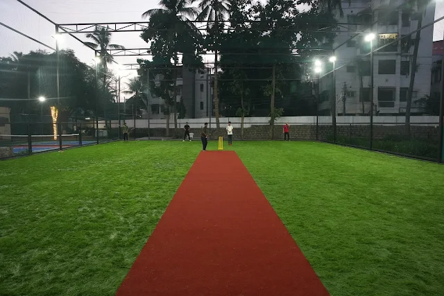Turf photo 5