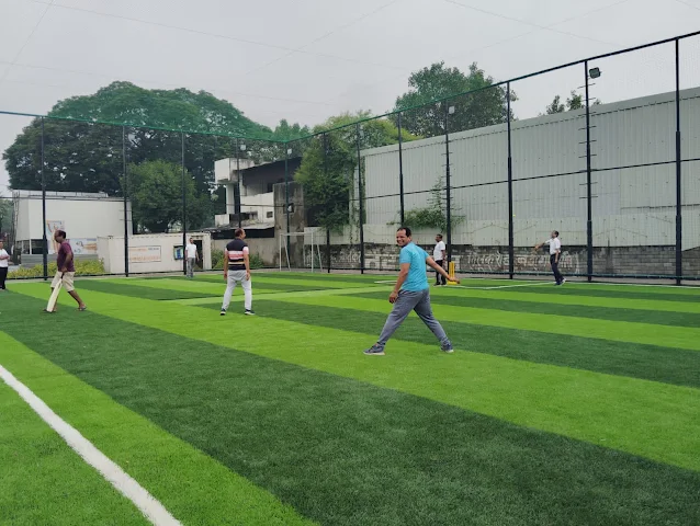 Turf photo 2