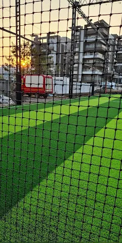 Turf photo 3