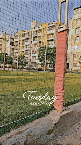 Turf photo 6